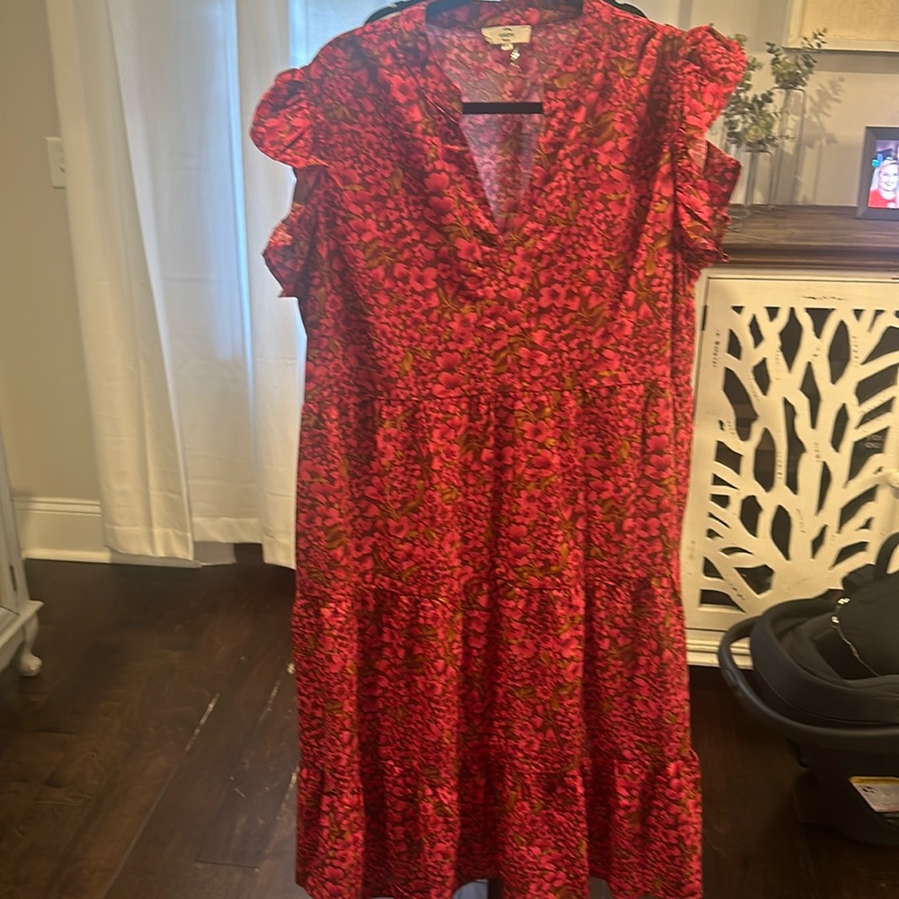Entro 1X Dress